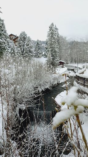 Paesaggio innevato con un fiume che serpeggia tra gli alberi, un ponte e degli edifici.