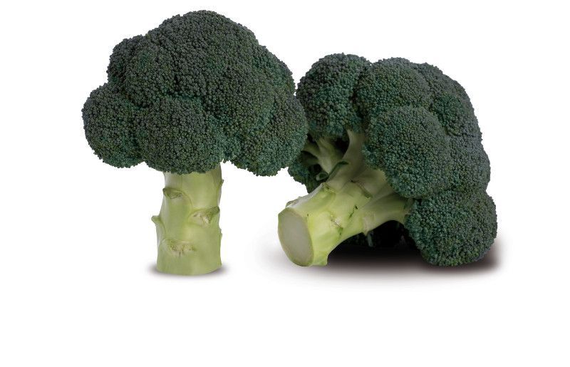 Cabeza de brócoli sobre fondo blanco, con floretes verdes y tallo verde pálido.