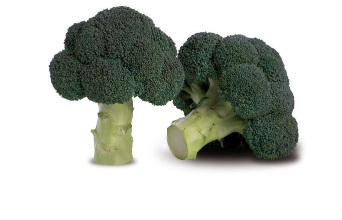 Cabeza de brócoli sobre fondo blanco, con floretes verdes y tallo verde pálido.