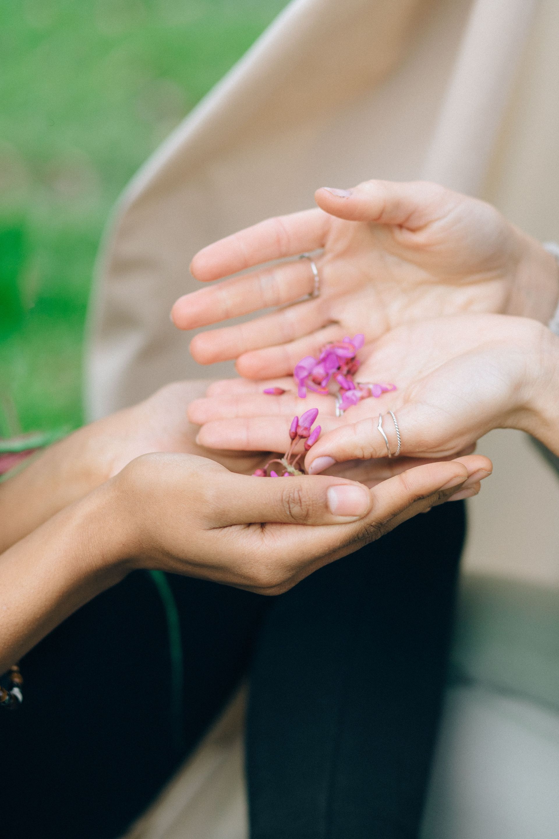 Deux mains tenant délicatement des pétales de fleurs roses à l'extérieur pour symboliser le toucher
