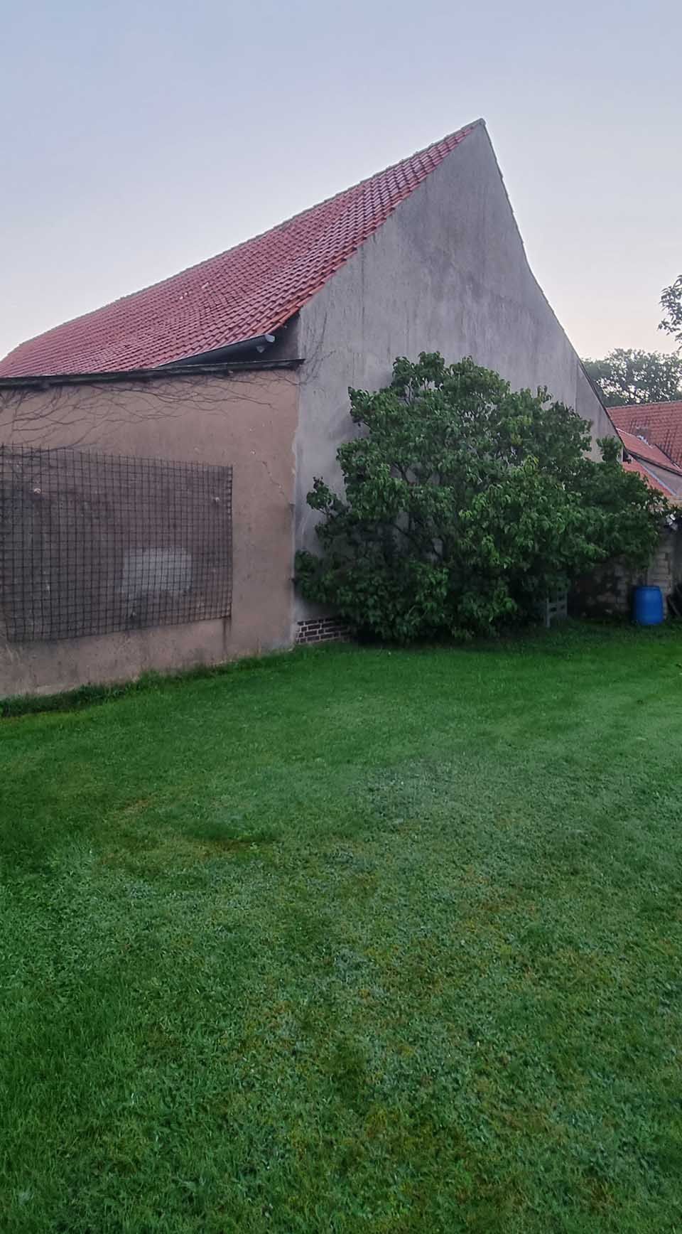 Grüner Rasen vor einem Gebäude mit rotem Ziegeldach, einem großen Busch und einem grauen Zaun.
