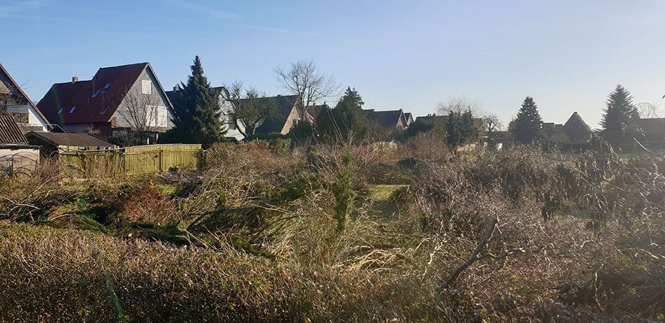 An einem sonnigen Tag stehen Häuser hinter einem Feld mit braunem Gras und Büschen.