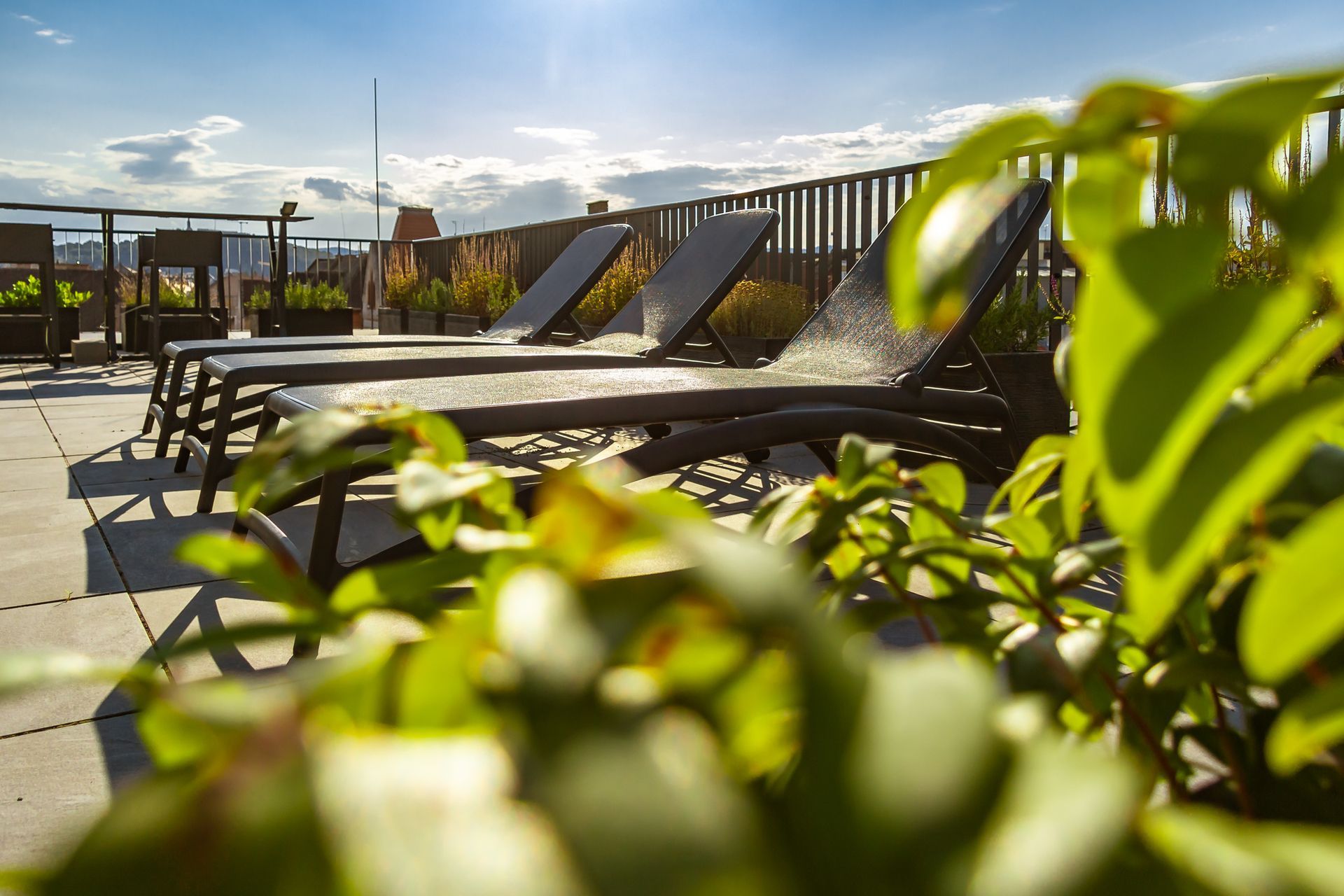 Lounge chairs on Marone Apartment's rooftop patio, sunny day. Green plants in foreground, city skyline in the background.
