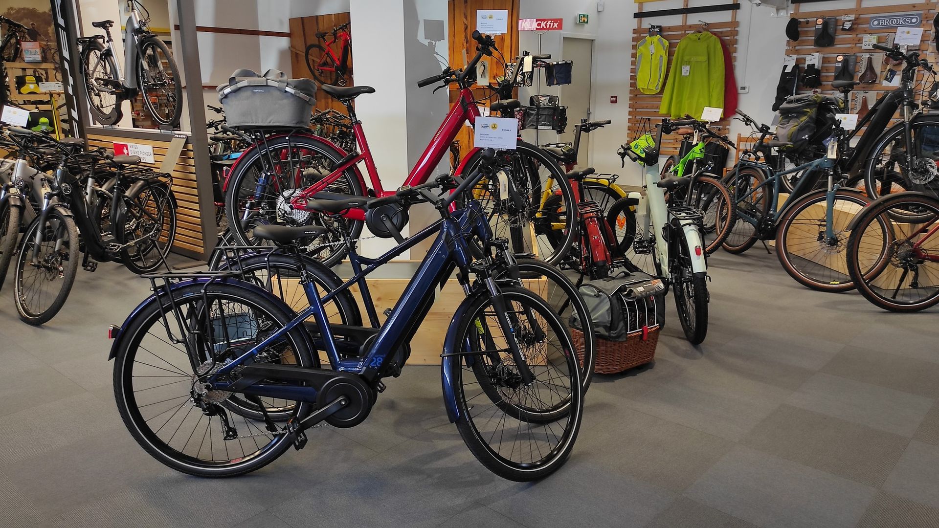 Vélos exposés dans le magasin