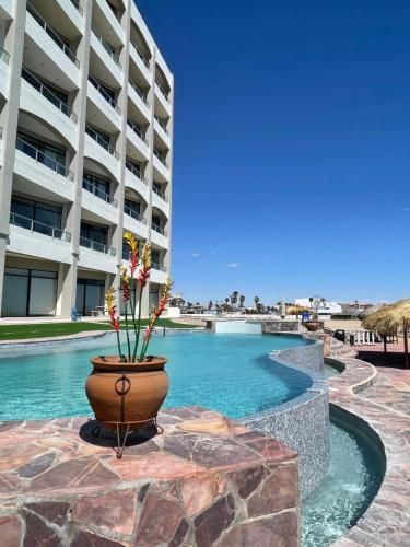 Resort pool with a potted plant, curved turquoise water, and hotel balconies under a blue sky