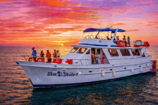 Sunset cruise