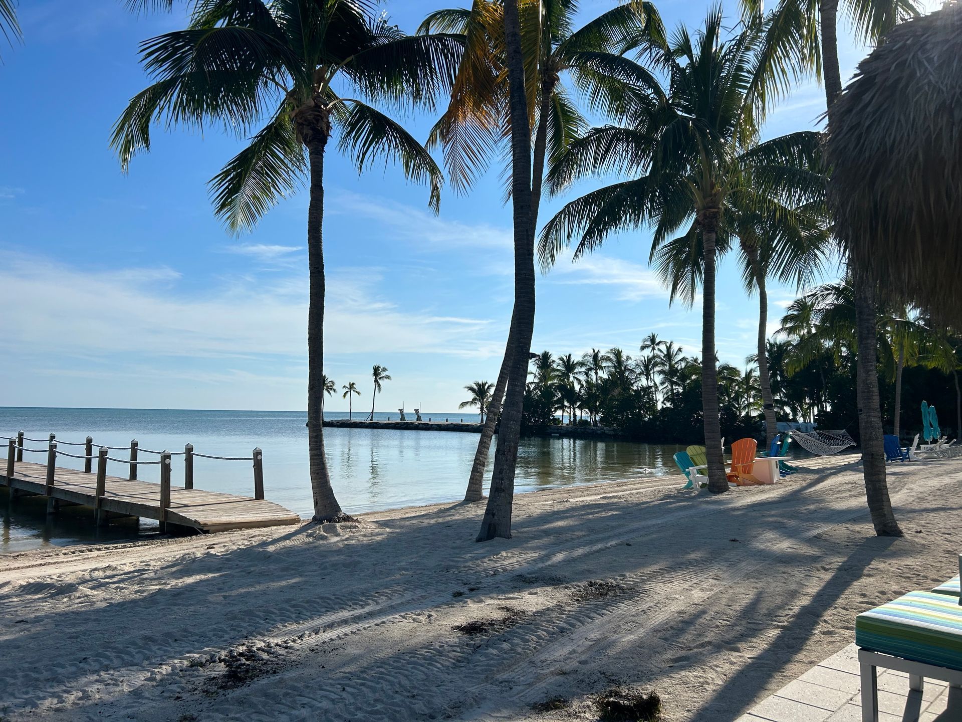 Palm trees along private beachfront at Maison Islamorada