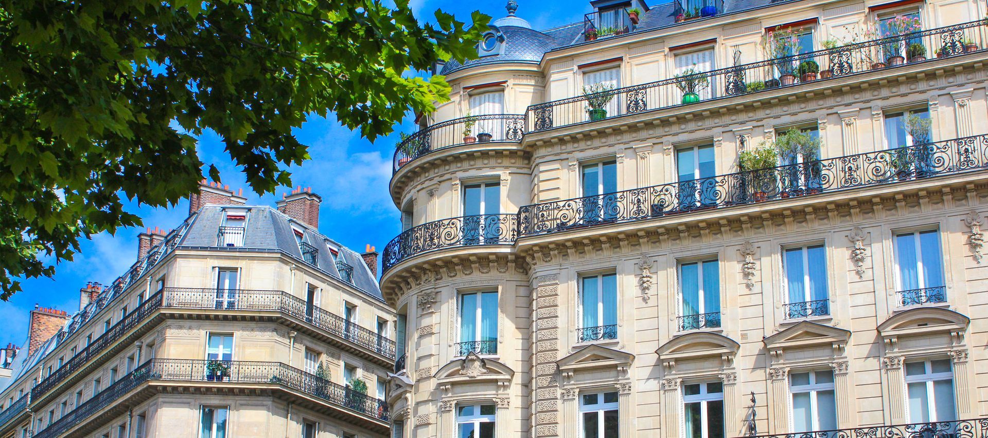 Immeubles parisiens aux façades ornées, balcons et lucarnes, sous un ciel bleu et un feuillage verdoyant.