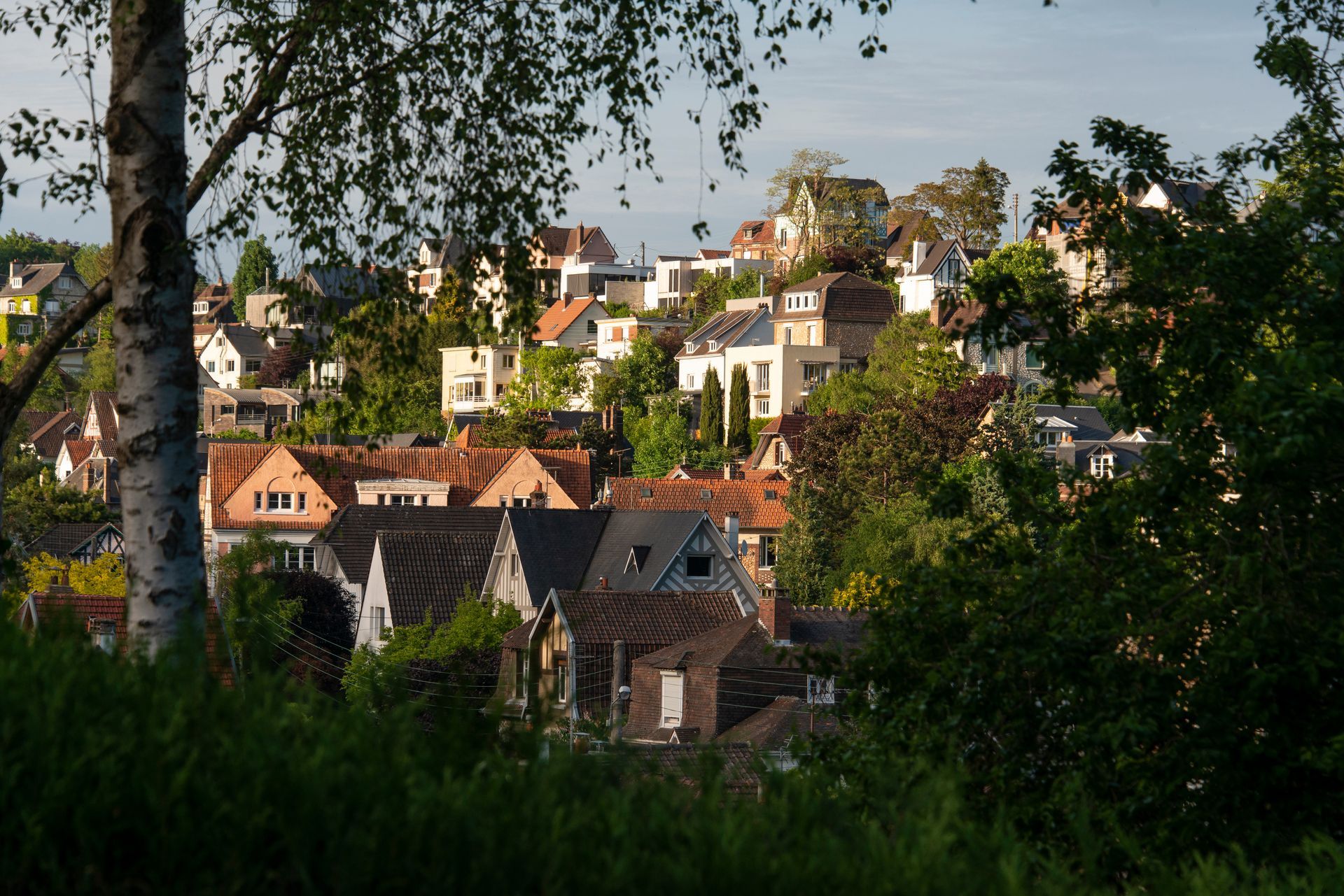 Mont-Saint-Aignan - Maisons aux toits orange et blancs sur une colline, vues à travers des arbres au feuillage vert.
