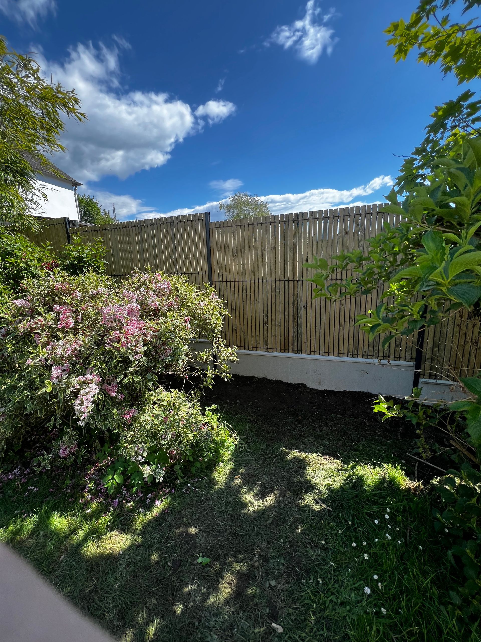 CLÖTURE OCCULTANTS BOIS