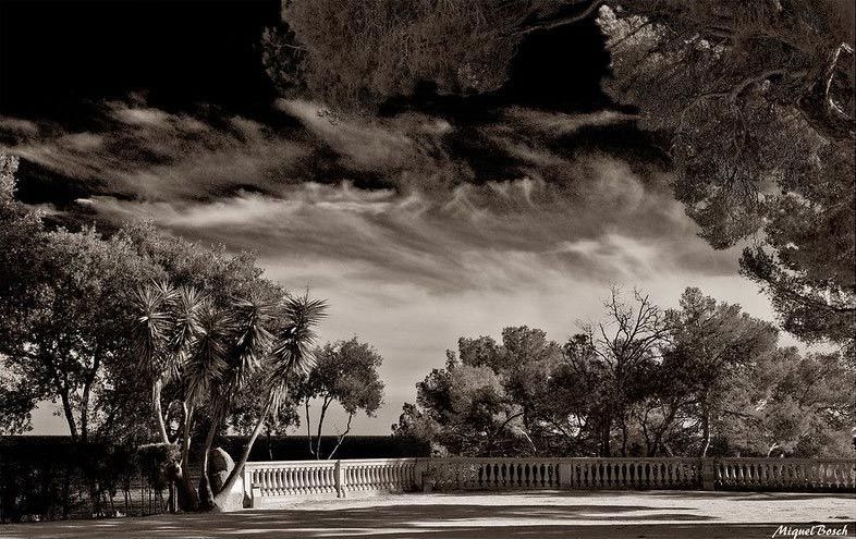 Una vista de un parque en tonos sepia, con árboles recortados contra el horizonte y una balaustrada de piedra bajo un cielo dramático y nublado.