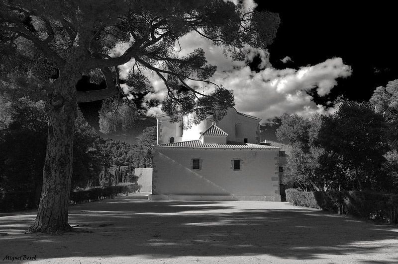 Un edifici blanc amb dues petites finestres s'alça en un pati assolellat, emmarcat per un gran pi sota un cel fosc.