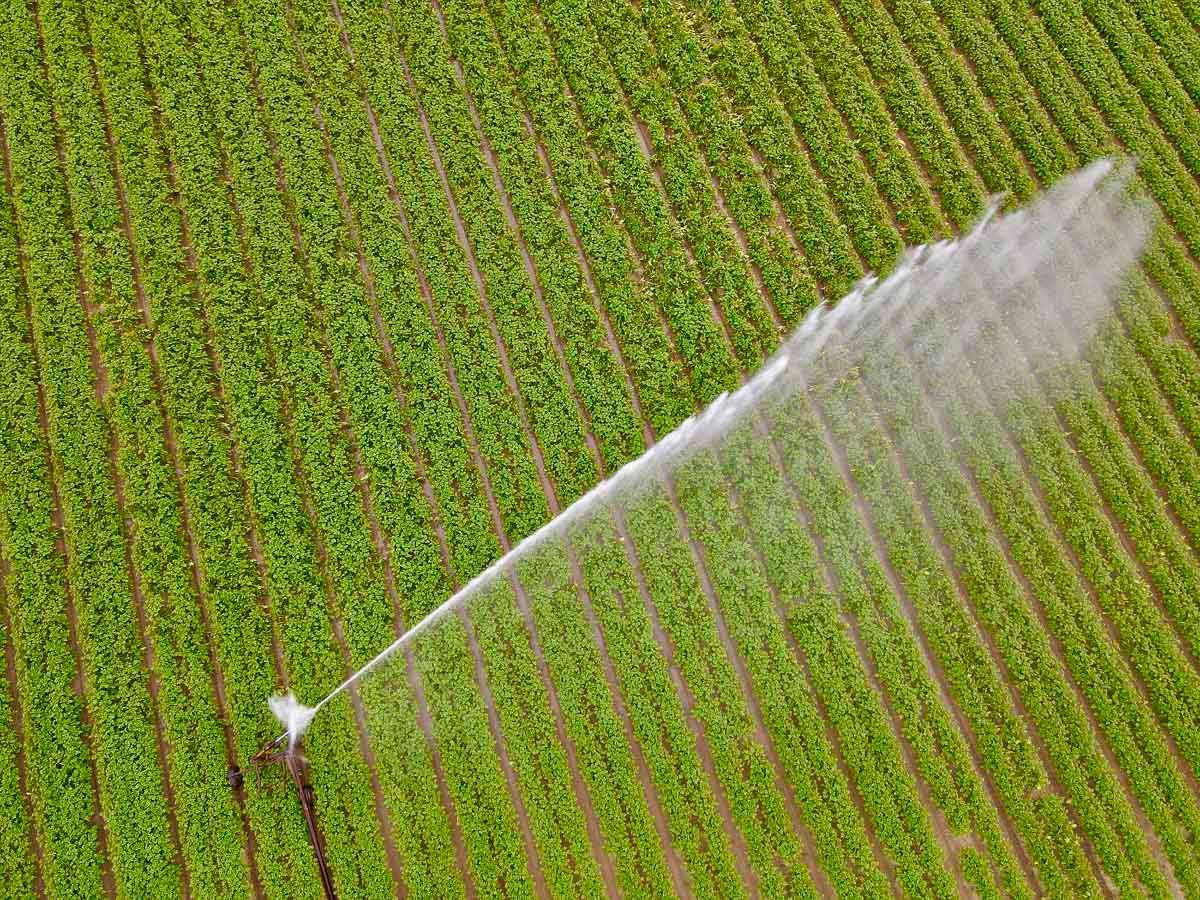 Leistungen vom Agrargut Malkwitz - Konventioneller Landbau - Milchgut Liptitz -Getreidelager am Collm - Bioenergie Nordsachsen in Wermsdorf, im Ortsteil Malkwitz