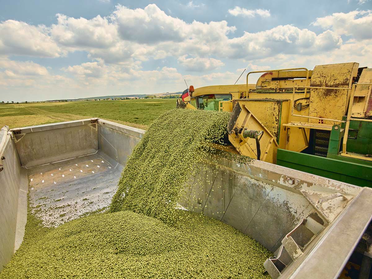 Leistungen vom Agrargut Malkwitz - Konventioneller Landbau - Milchgut Liptitz -Getreidelager am Collm - Bioenergie Nordsachsen in Wermsdorf, im Ortsteil Malkwitz