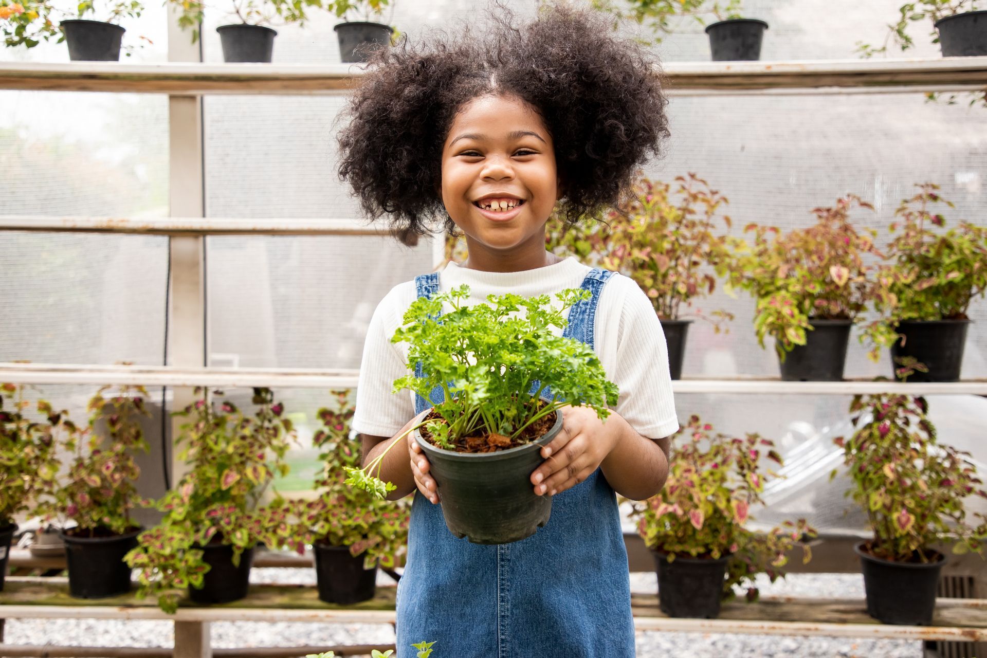 Fille tenant une plante en pot, souriant dans une serre avec des rangées de plantes.