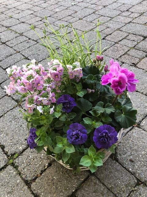 Blumen Weber, Inhaberin Sibylle Kienast