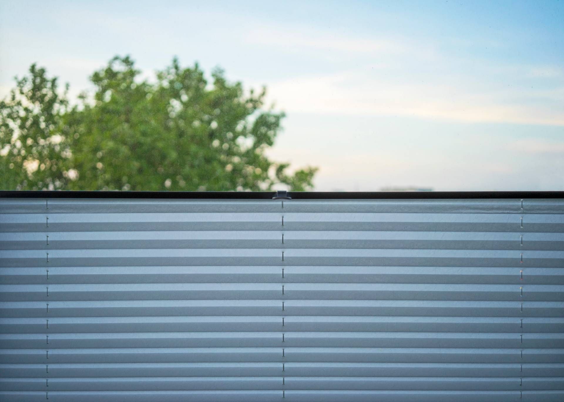 Eine Nahaufnahme eines Fensters mit Bäumen im Hintergrund
