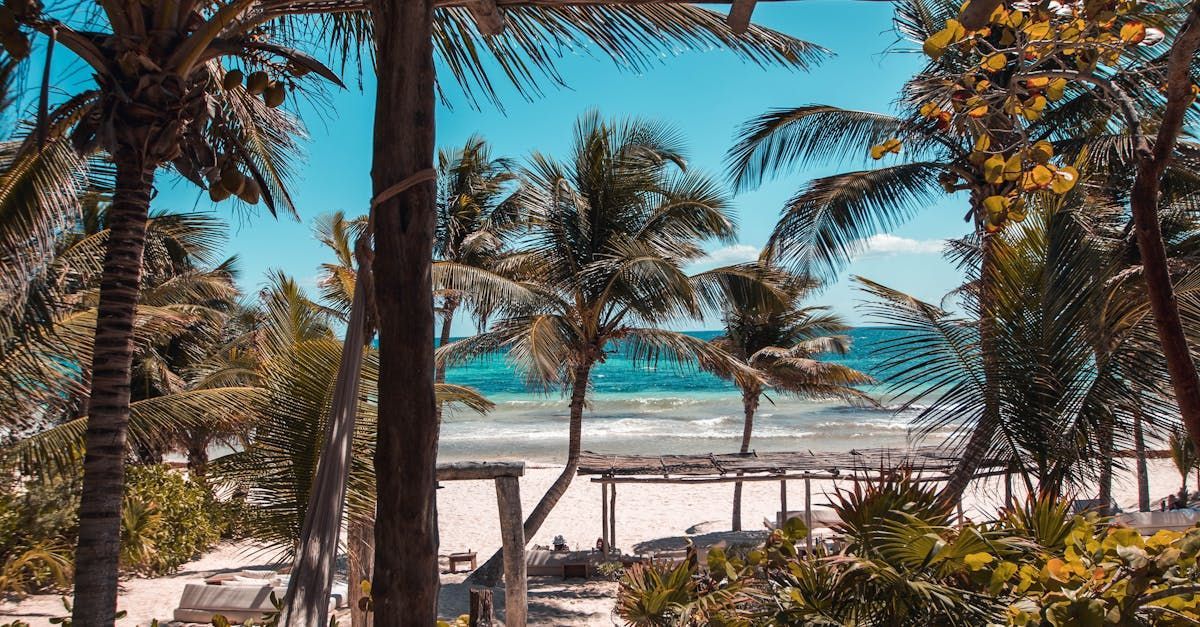 Playa Del Carmen