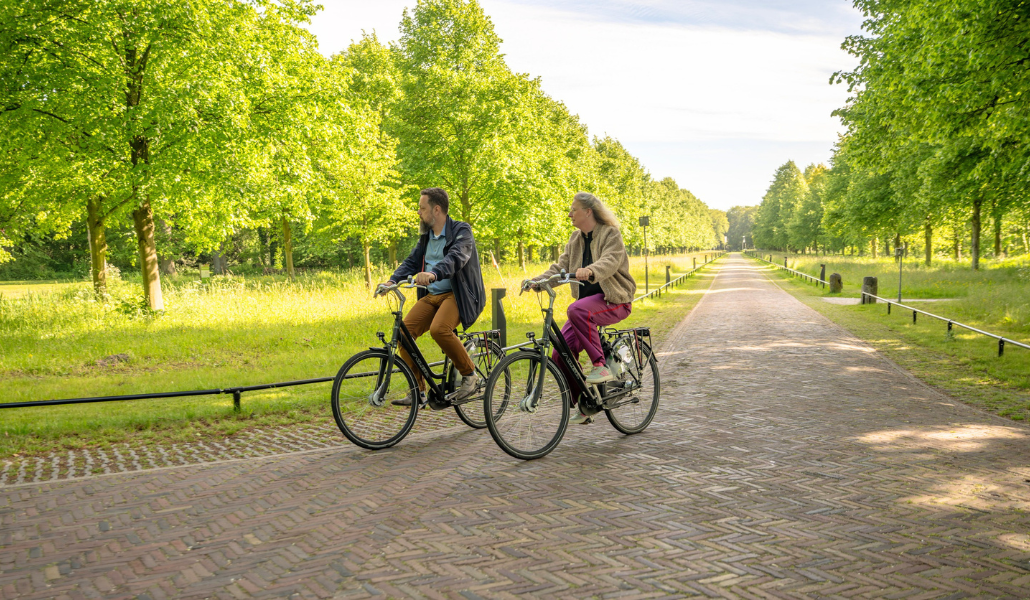 Twee huurfietsen van het hotel op een bospad, omgeven door groen.