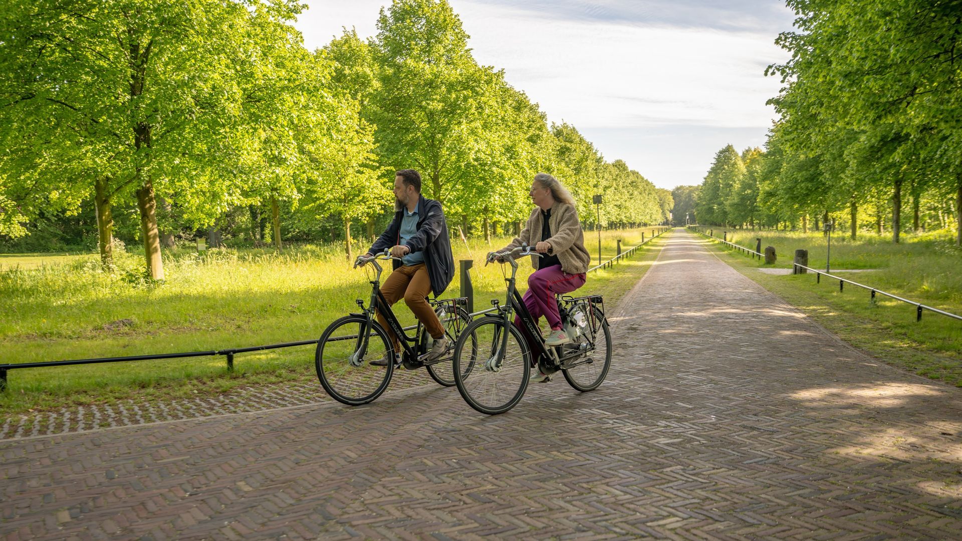 Two rental bicycles from the hotel on a forest path surrounded by greenery.