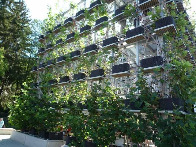 Amendements des sols sur terrain de golf - Consagros AG - Steffisburg