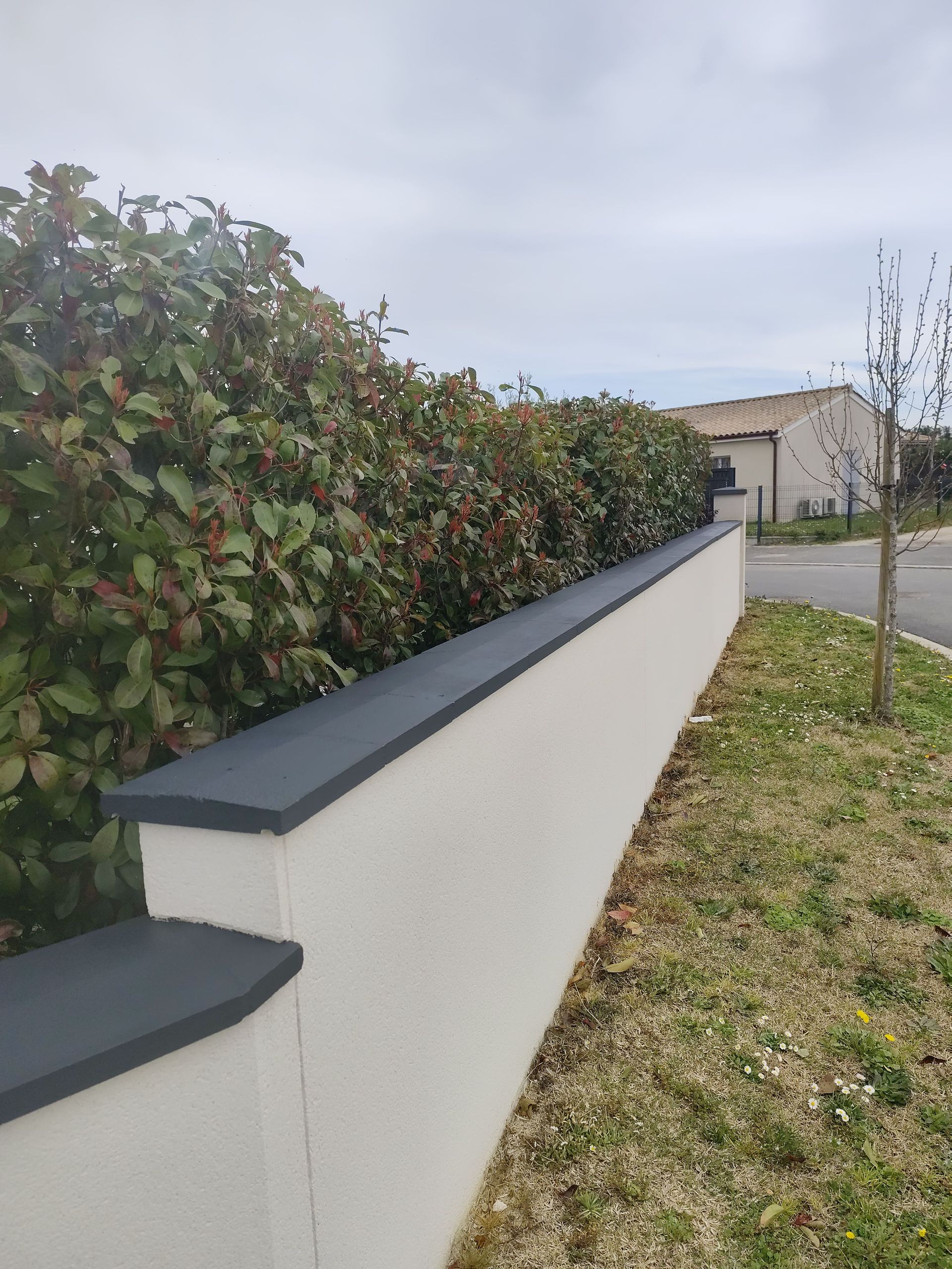 Un muret avec une haie