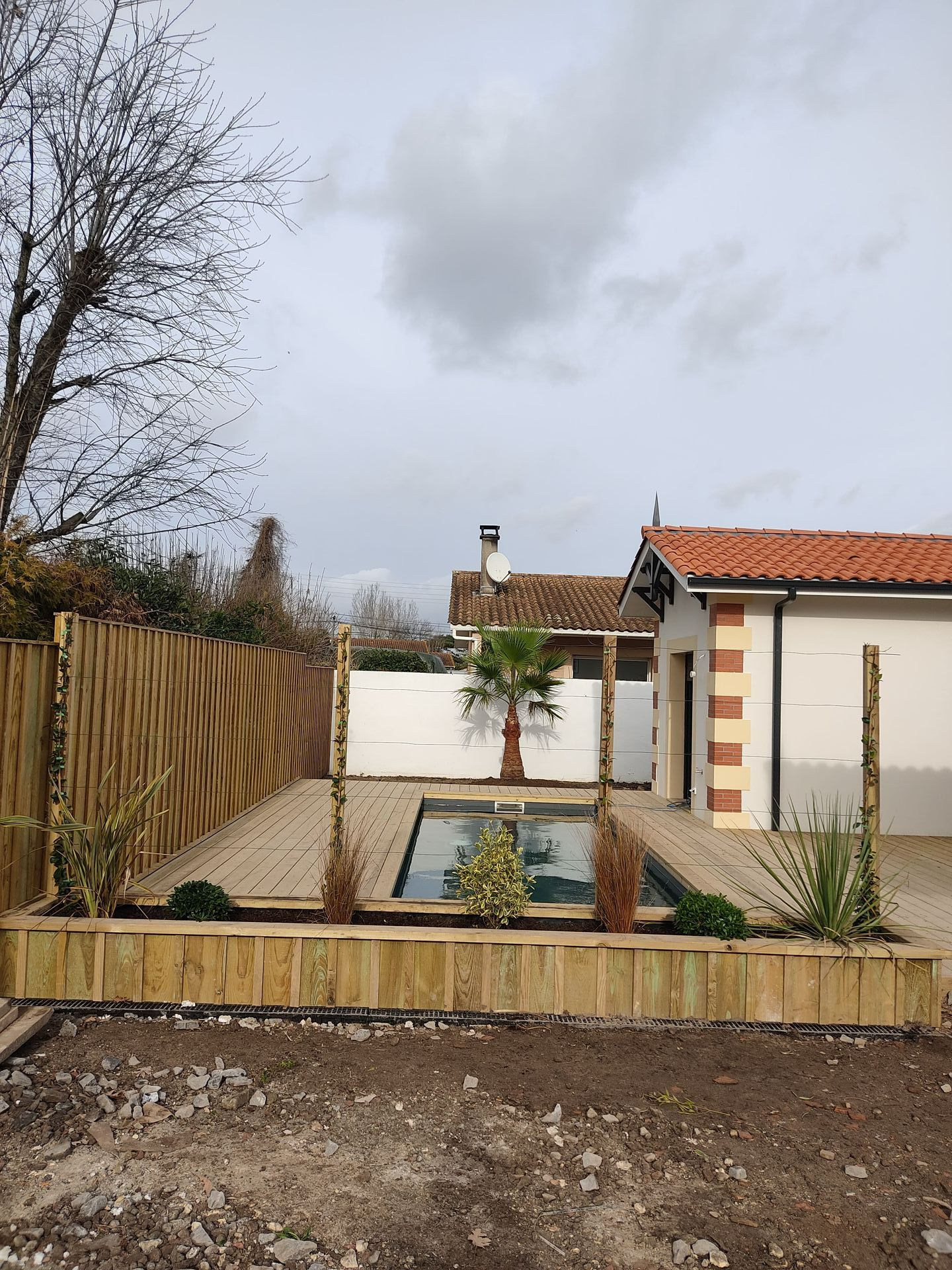 Une plantation de végétaux près d'une piscine