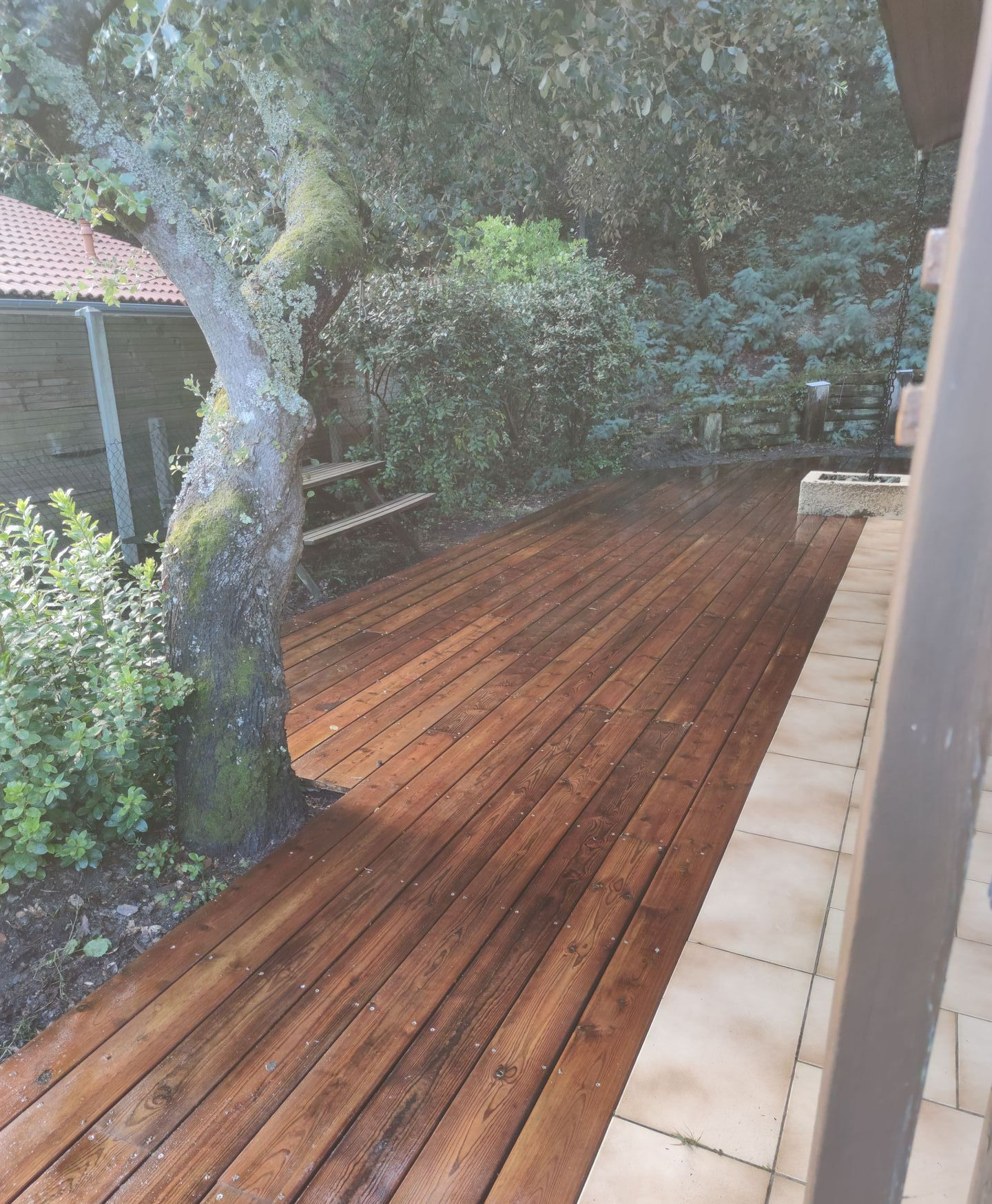 Terrasse en bois avec un gros arbre sur la gauche