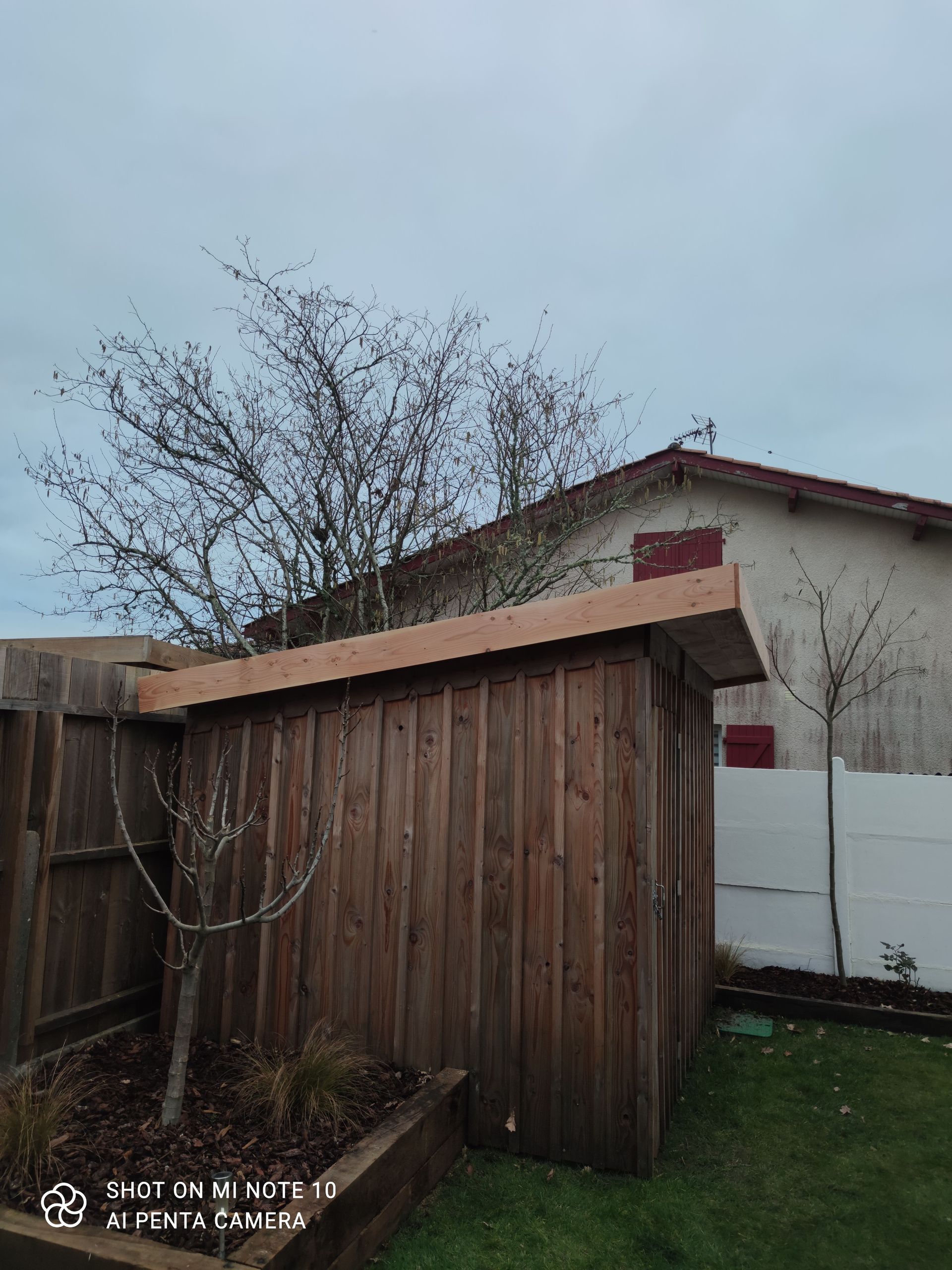 Un abri de jardin avec des arbres sans feuilles