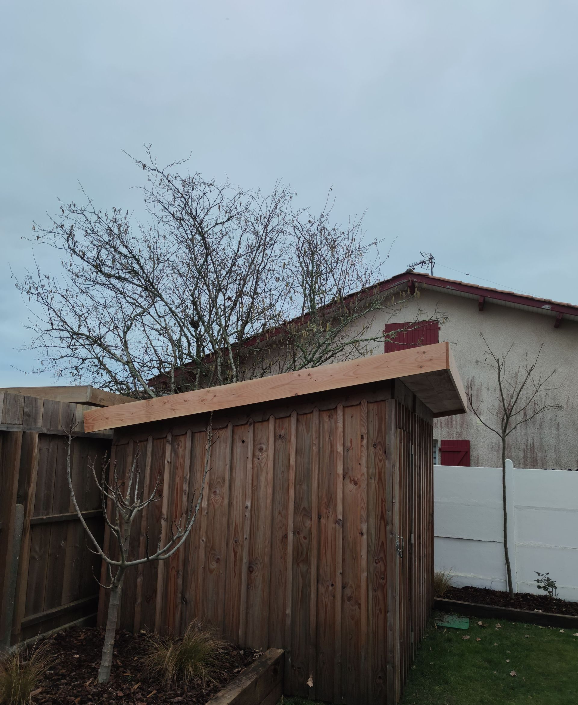 Un abri en bois avec des arbres