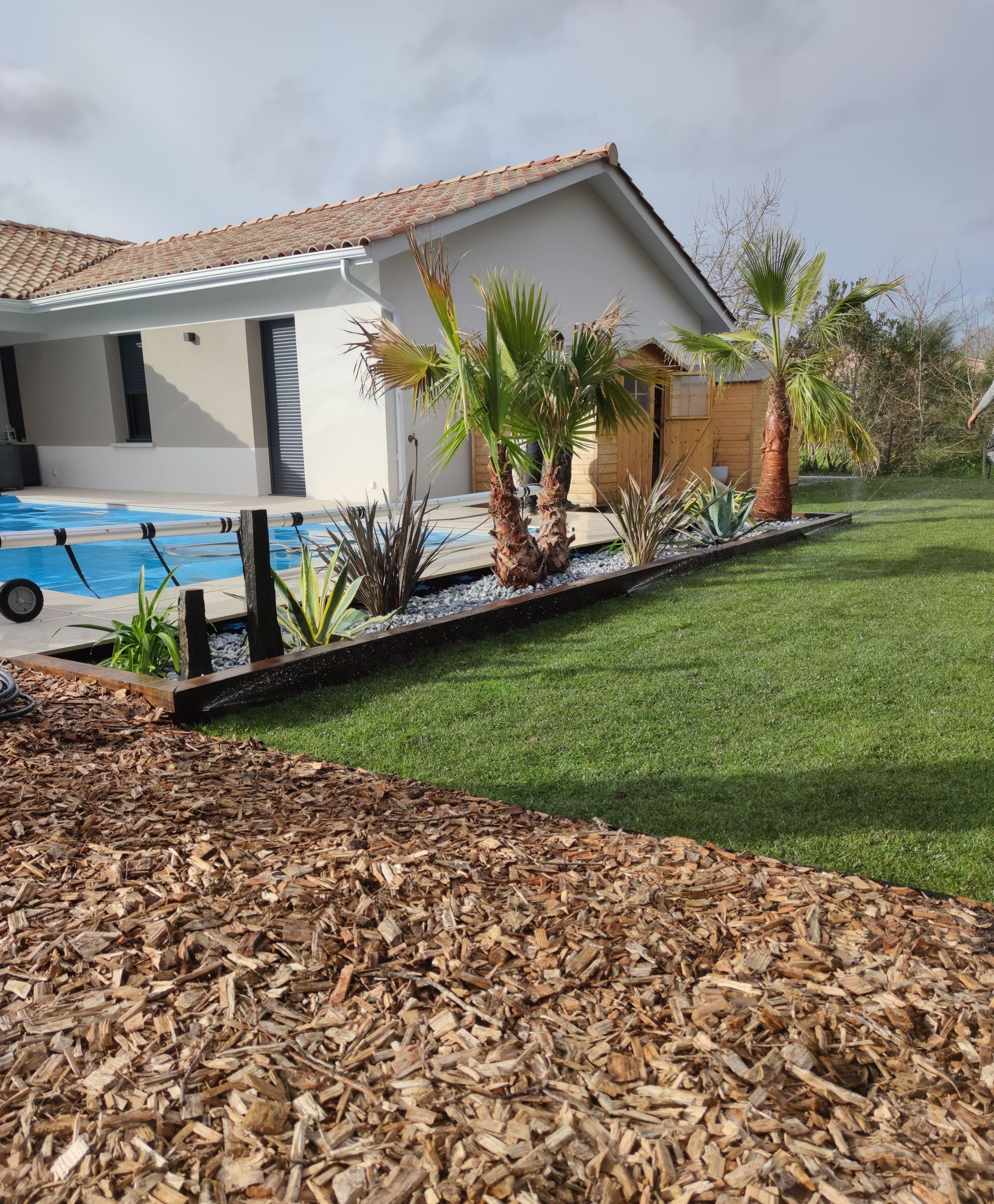Des palmiers le long d'une piscine avec de la pelouse
