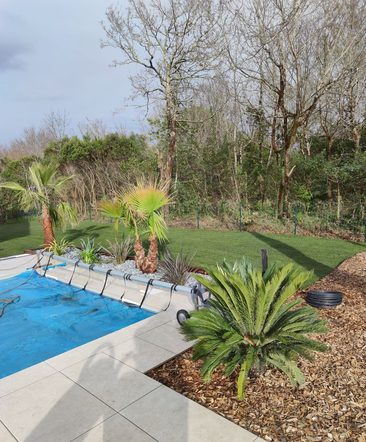 Des palmiers autour d'une piscine