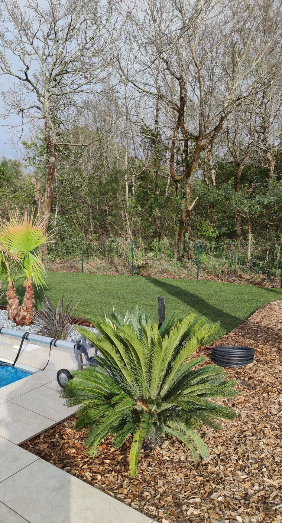 Un jardin avec la pelouse bien tondu et des palmiers