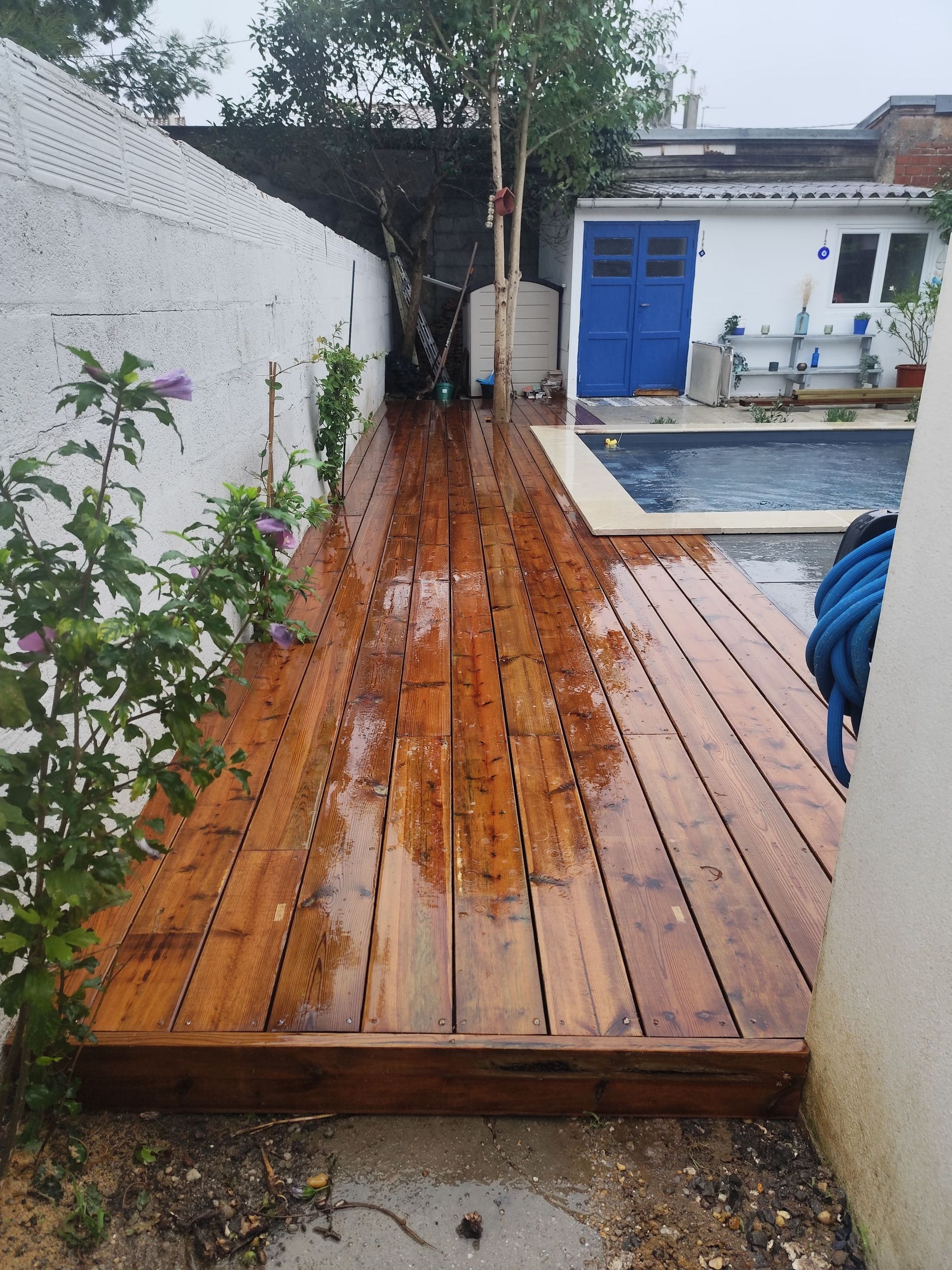 Terrasse en bois avec une piscine et une plante sur la gauche