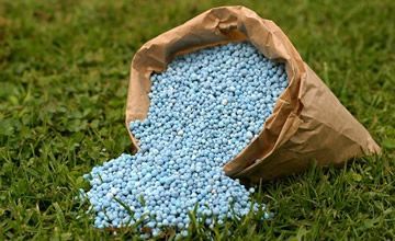 Fertilizantes sólido