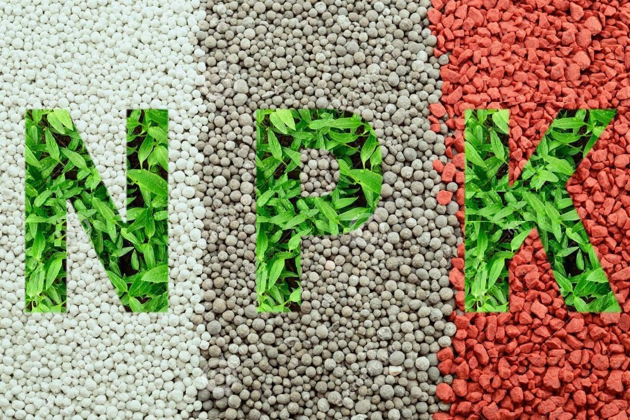 fertilizantes NPK