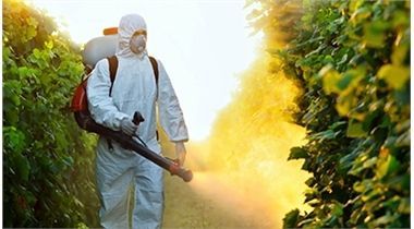 Insecticidas