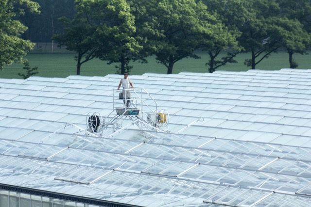 Limpiar invernaderos