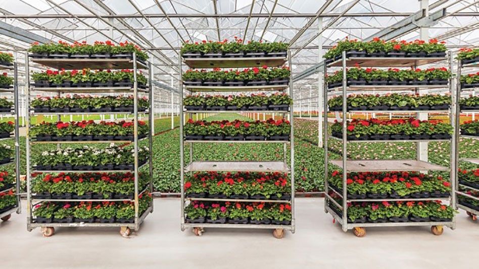 Sustratos profesionales