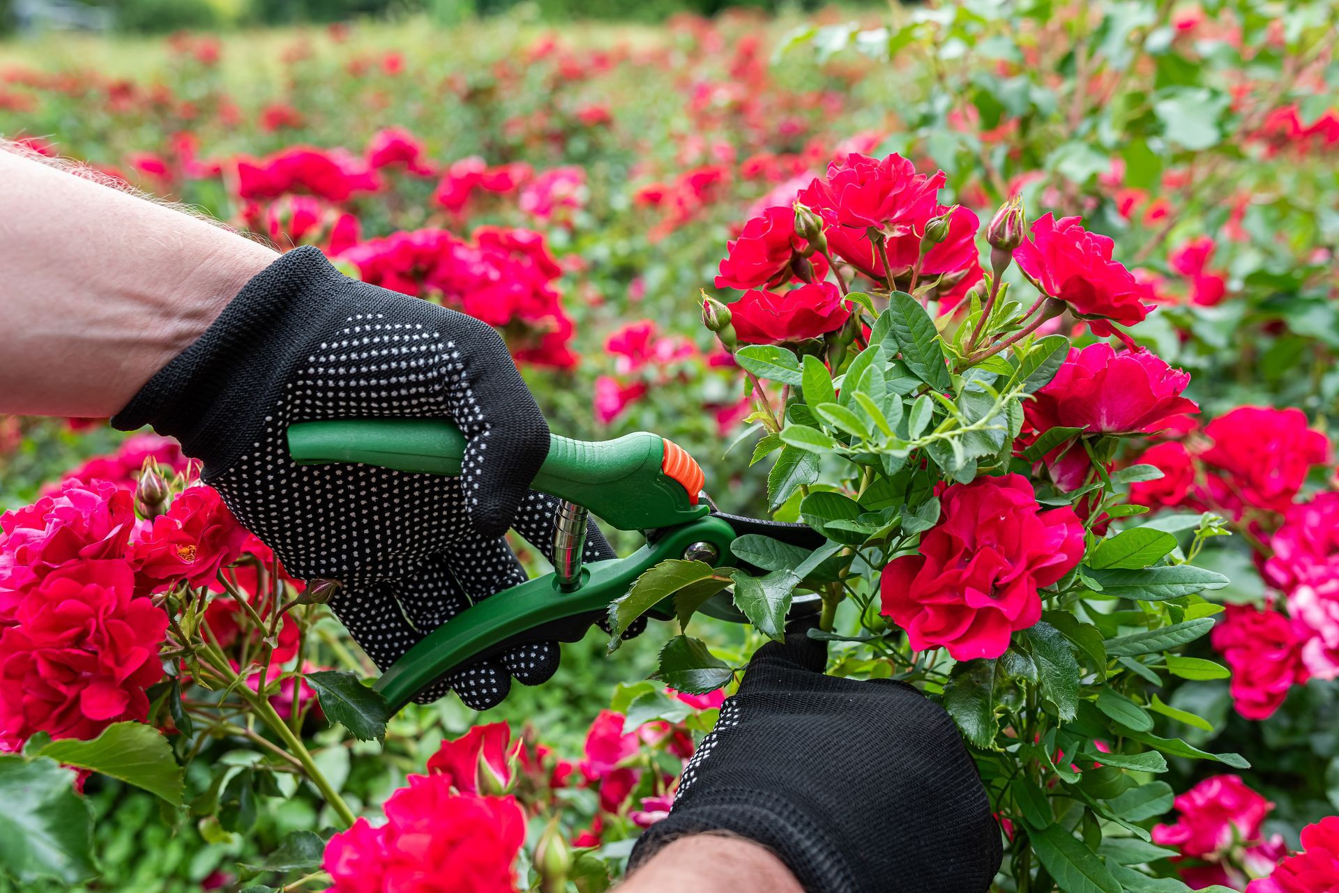 Protección personal