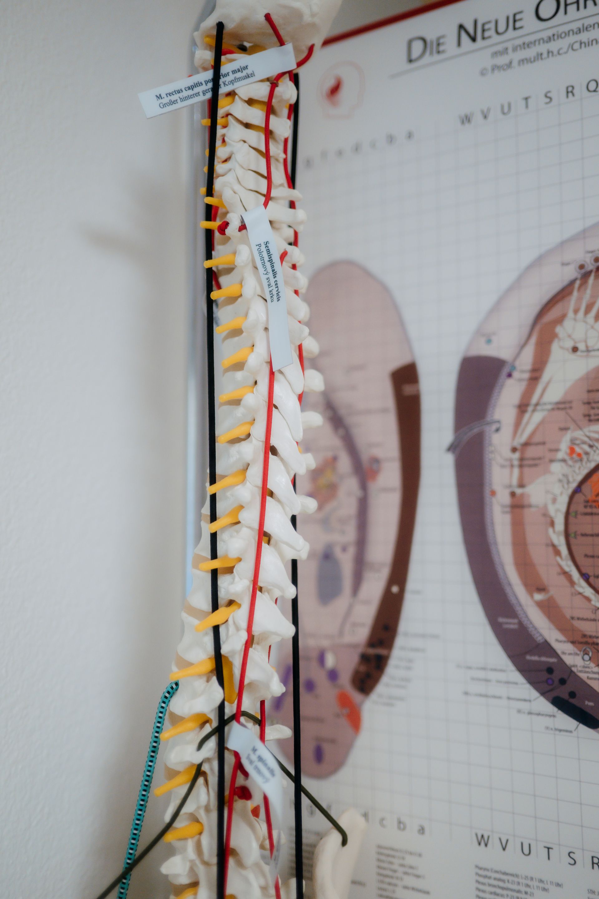 Hände massieren den oberen Rücken und die Schulter einer Person. Ein Handtuch liegt unter dem Kopf.