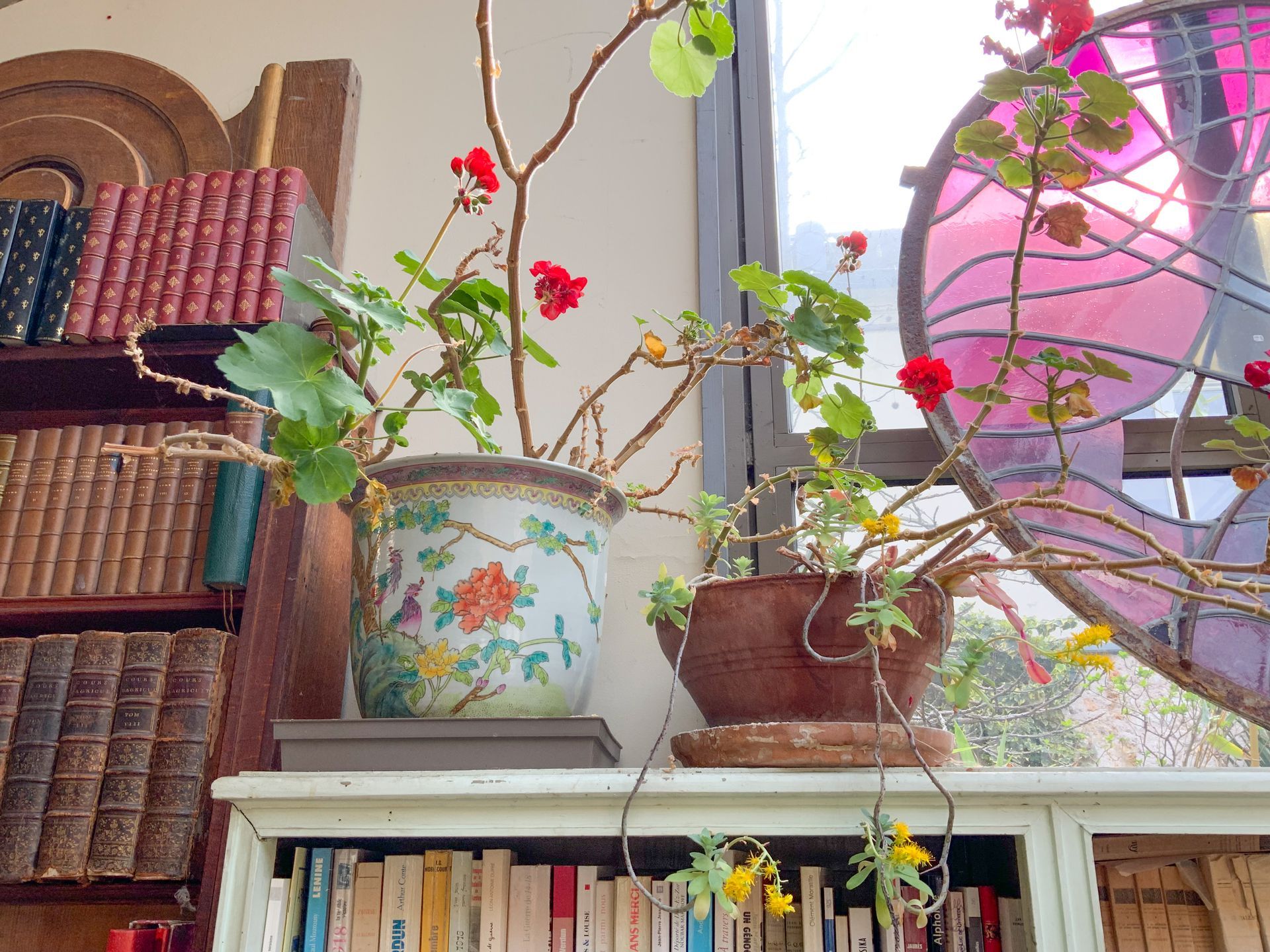 Plantes dans des pots en terre peints.