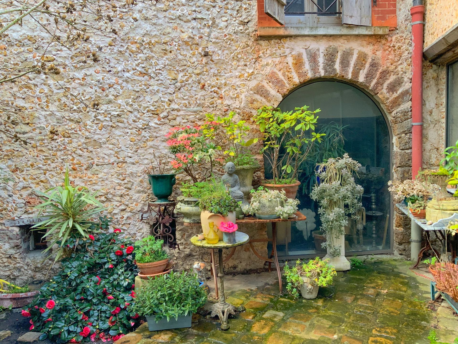 Jardin avec plusieurs plantes vertes dans des pots.