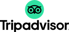 Logotipo de Google Reviews con el texto 