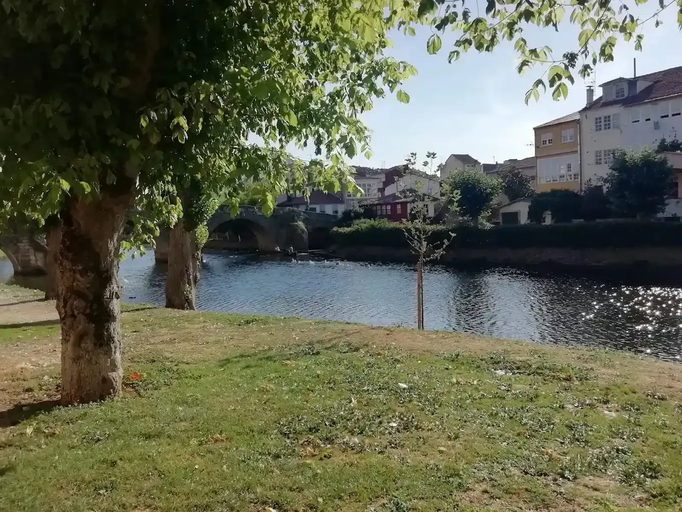 Vista del río con árboles, edificios y un puente bajo un cielo brillante.