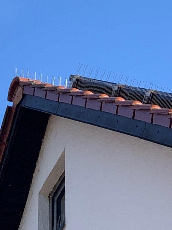 Weißes Haus mit rotem Dach, Solarzellen und Vogelspikes vor einem klaren blauen Himmel.