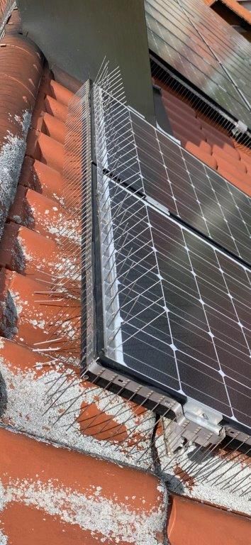 Solarmodule auf einem roten Ziegeldach, geschützt durch ein Vogelschutznetz.