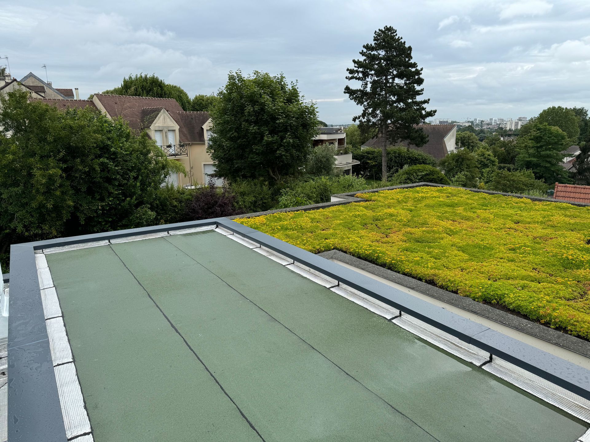 Étanchéité sur un toit avec de la végétation