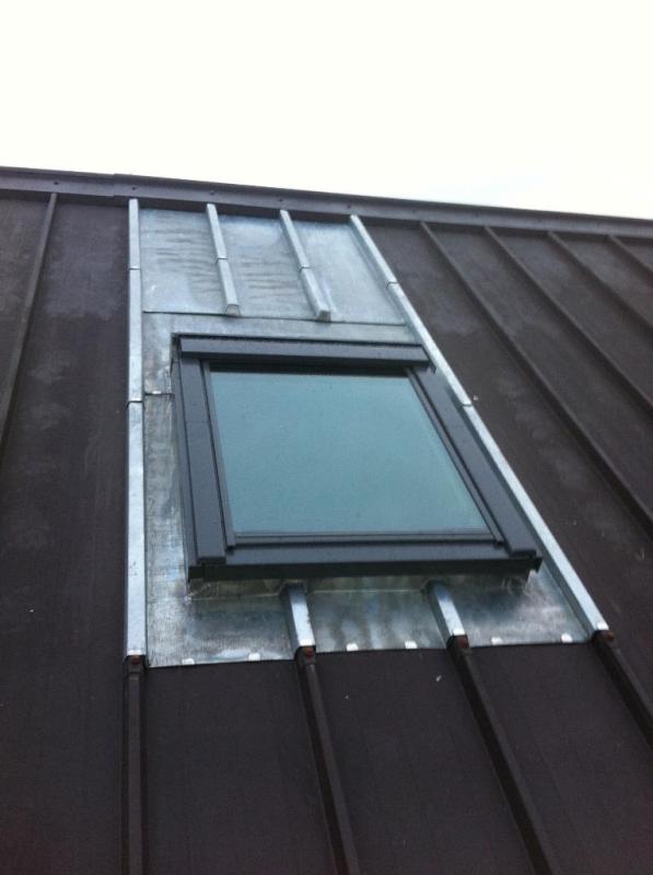 Fenêtres de toit VELUX® de différents coloris