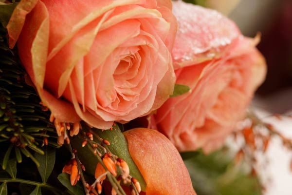 Un primer plano de un ramo de rosas rosadas